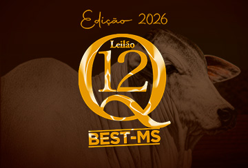 LEILÃO Q12 - EDIÇÃO 2026